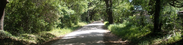 Edisto Island Shady Road